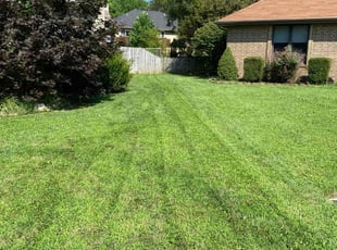 Randy C.'s Lawn Maintenance service result