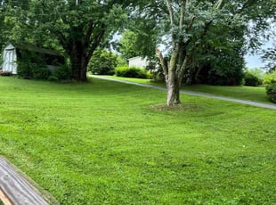 Charles B.'s Lawn Maintenance service result