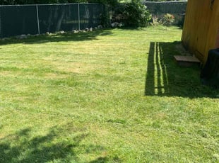 Lauren S.'s Yard Cutting service result