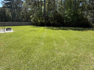 Allison O.'s Yard Cutting service result