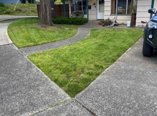 Bush Trimming by Joseph Fullner for Cindy F. in Tacoma, WA
