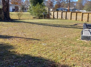 Leaf Removal by Jose Pena for Lenore W. in Charlotte, NC