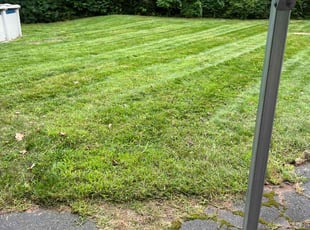James M.'s Yard Cutting service result