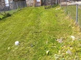 Cleanups by Joseph Artis for Vernon H. in Baltimore, MD