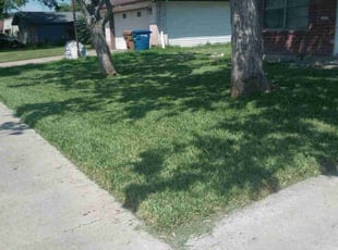 Nadia B.'s Grass Cutting service result