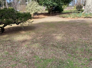 Cleanups by Jeff Miller for Reva H. in Richmond, VA