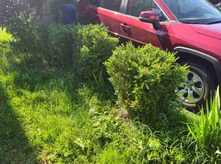 Bush Trimming by Brian Franz for Melissa C. in Leesburg, VA