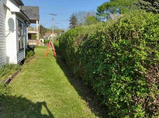 Bush Trimming by Christopher Pelfrey for Yakini H. in Cleveland, OH