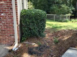 Bush Trimming by Jeffrey Curtis for Tonya M. in Riverdale, GA