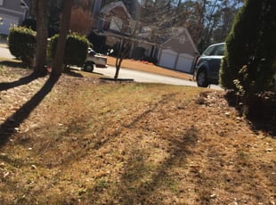 Cleanups by Rickey McCoy for Susan G. in Smyrna, GA