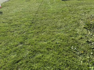 Aaron C.'s Lawn Service service result