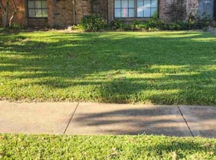 Colby C.'s Lawn Mowing Service service result