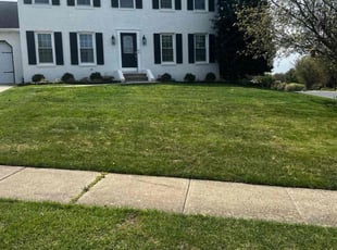 Jason P.'s Lawn Care service result
