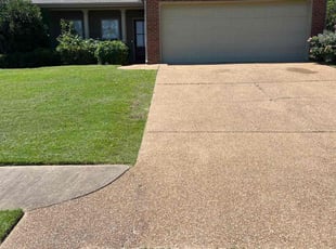 Jenai W.'s Lawn Mowing service result