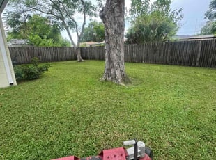 Connie M.'s Grass Cutting service result