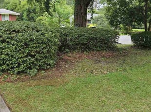 Bush Trimming by Jason Hughes for Kathy R. in Savannah, GA