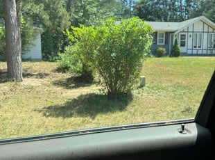 Bush Trimming by Will Pleasant for Melinda S. in Holland, MI