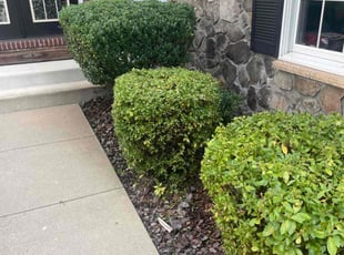 Bush Trimming by Tim McCullough for Stephanie J. in Upper Marlboro, MD