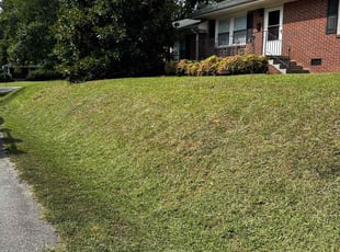 Jane S.'s Yard Cutting service result