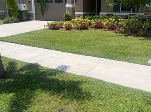 Alvin S.'s Grass Cutting service result
