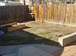 Cleanups by Gregory Lillibridge for Freddy B. in Denver, CO