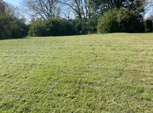 Hunter P.'s Lawn Mowing Service service result