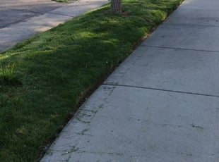 Leaf Removal by Marsha Fosnight for Debra S. in Arvada, CO