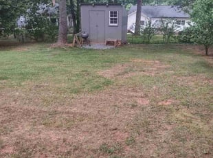 Cleanups by Michael Cherry for Maria C. in Charlotte, NC
