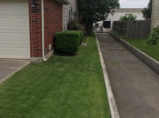 Bush Trimming by Chaes Pate for Lisa B. in San Antonio, TX