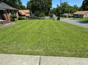 Cleanups by Quincy D. for Noel G. in Charlotte, NC