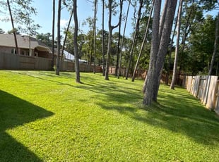 Lavinia W.'s Lawn Mowing Service service result