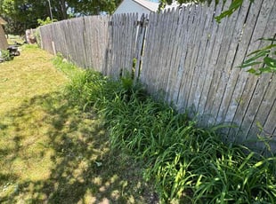 Weeding by William Pleasant for Erin B. in Middleville, MI