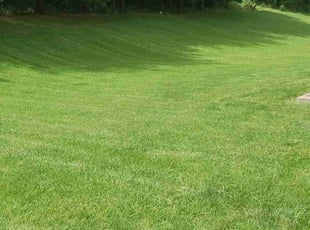 Doug L.'s Lawn Service service result