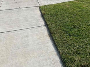 Kyle L.'s Yard Cutting service result
