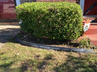 Bush Trimming by Steven Moreira for Stephanie l. in Virginia Beach, VA
