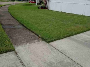 Carol C.'s Lawn Service service result
