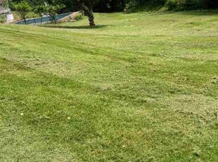 Linda W.'s Lawn Care service result