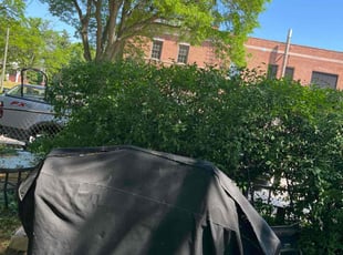 Bush Trimming by Dontrell Hood for Sheron H. in Milwaukee, WI