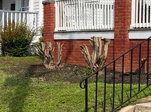 Bush Trimming by Prince Copeland for Brevianna M. in Newport News, VA