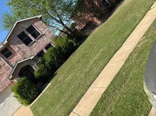 Amanda H.'s Lawn Maintenance service result
