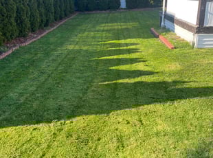 Brett E.'s Yard Cutting service result
