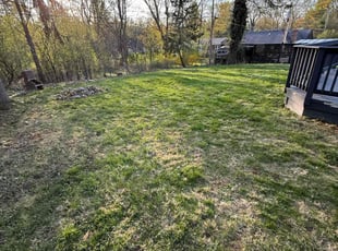 Leaf Removal by Desmond Easley for Alexandra C. in Bloomfield Township, MI