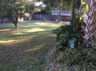 Cleanups by Roland Herring for Ariana G. in Tampa, FL