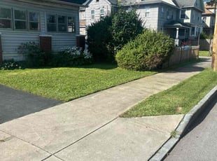 Cara M.'s Lawn Service service result