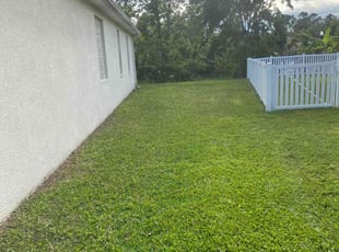 Betsie P.'s Yard Cutting service result