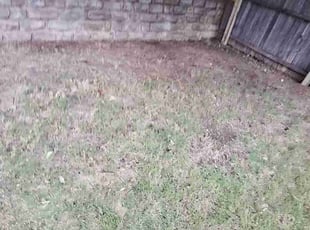 Cleanups by Jesus Valencia for Jordan M. in Little Elm, TX