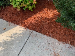 Mulching by Anthony Bartell for Debora R. in Portsmouth, VA