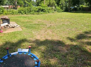 Cleanups by Jeremiah Davis for Dominique G. in Charlotte, NC