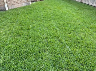 Angela S.'s Grass Cutting service result