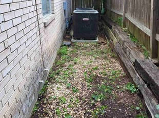 Cleanups by Jason Westgor for Miho R. in San Antonio, TX